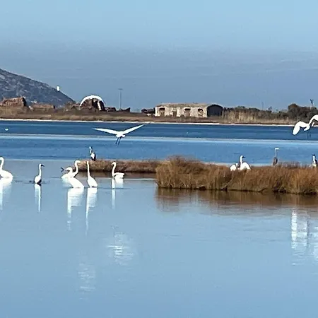 בית הארחה Flower's 3*