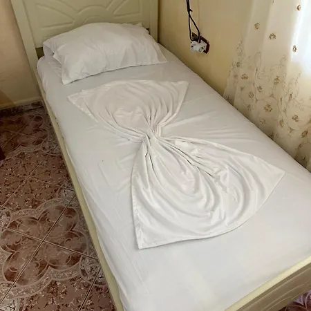 Flower's Orikum