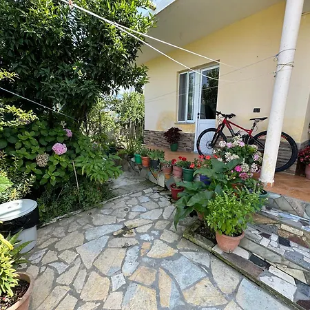 Guest house Flower's *