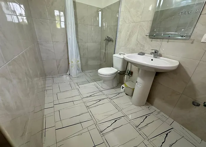 招待所 Flower's 奥里库姆