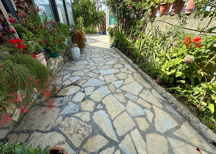 Flower's 招待所 奥里库姆