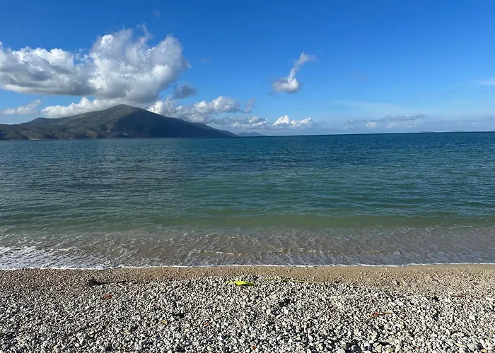 Flower's 招待所 3*